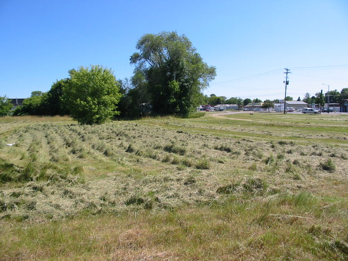 Auto Theatre - July 2002 Photo